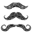Doodle mustaches handlebar vector image
