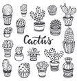Collection of hand drawn cactus in sketch style vector image