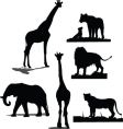 African animals vector image