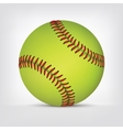 Baseball ball vector image