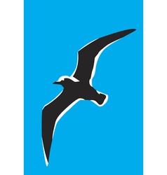 Seagull vector image