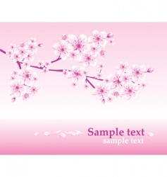 Spring background Spring background vector image