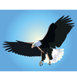 Eagle flying vector image