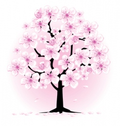 Cherry tree vector image