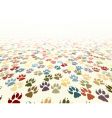 Paw floor vector image