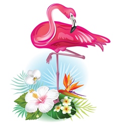 Arrangement from tropical flowers and Flamingo vector image