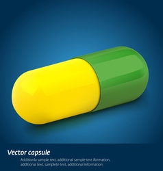 Capsule vector image