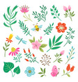 Floral design elements and insects vector image