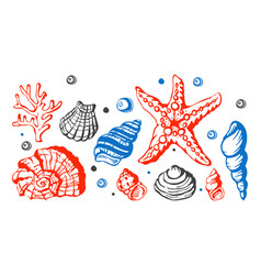 Sea marine shells hand drawn sketch Sea marine shells hand drawn sketch vector image