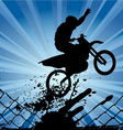 Bicycle vector image