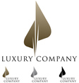 Luxury business emblem vector image
