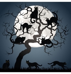 Black cats on tree vector image