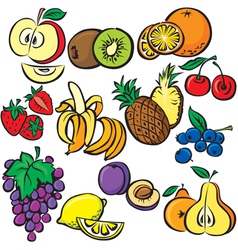 Fruits icon set vector image