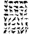 Animal silhouettes vector image