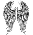 Hand drawn angel wings vector image