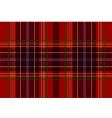 Tartan texture vector image
