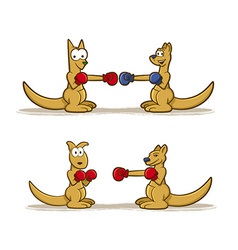 Boxing Kangaroo Set Boxing Kangaroo Set vector image