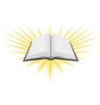 Holy book illustration vector image
