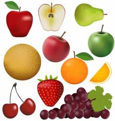 Fruits vector image