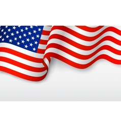 Wavy American Flag vector image
