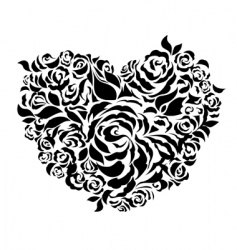 Roses and heart vector image