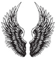 Hand drawn eagle wings vector image