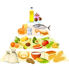 Food pyramid vector image