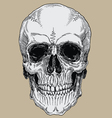 Realistic Cross Hatched Inked Human Skull Realistic Cross Hatched Inked Human Skull vector image