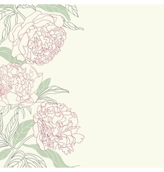 Hand drawing tenderness peony flowers frame vector image