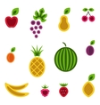 Fruits and berries set vector image
