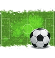 Soccer field vector image