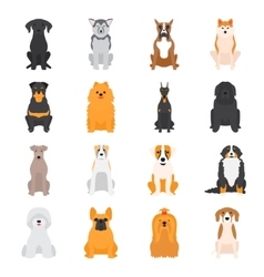 Different dogs breed vector image