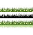 Grass vector image
