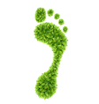 Foliage footprint vector image