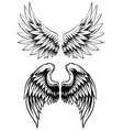 Hand drawn wing set vector image