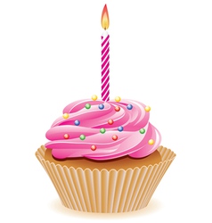 Cupcake vector image