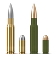 Rifle and pistol bullets vector image
