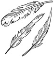 Doodle feathers vector image