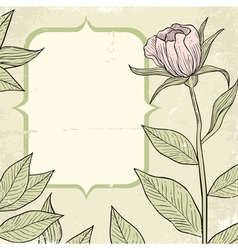 Flowers vector image
