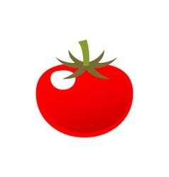 Tomato-380x400 vector image