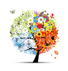 Four seasons vector image