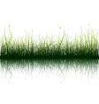 Green grass isolated on white vector image