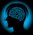 Brain maze vector image