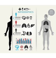 Infographic human body vector image