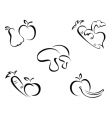 Vegetables symbols vector image
