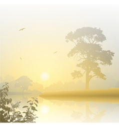 Misty Landscape vector image
