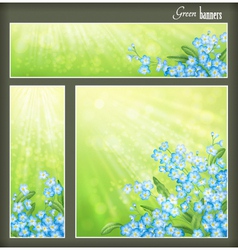 Green banners set with flowers and blurred sunrays vector image