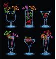 Neon tropical drinks vector image