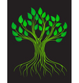 Green stylized tree vector image