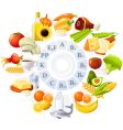 Table of vitamins vector image
